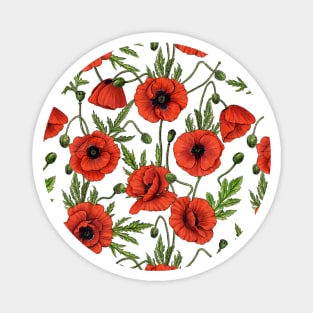 Poppies, red and green on  white Magnet